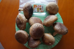 東京デパ地下　大丸東京B1F 奥出雲　巨大椎茸