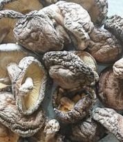 東京デパ地下で買える　日本橋三越　どんこ椎茸詰め放題