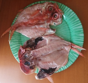 東京デパ地下　銀座三越地下3階　干物