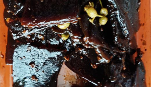 東京デパ地下　銀座三越地下２階　期間限定　京昆布舖　田なか