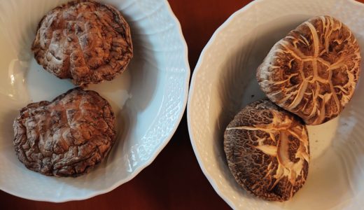 東京デパ地下 日本橋三越地下1階 どんこ椎茸