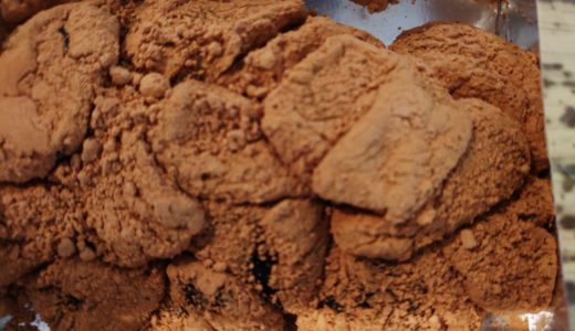 東京デパ地下 期間限定　わらび餅　藤菜美