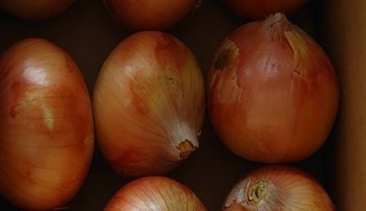 淡路島玉ねぎ　今井ファーム　かくし玉