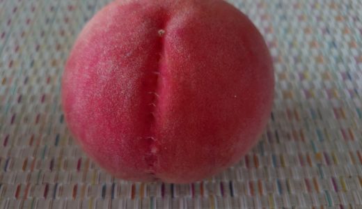 わかやま紀州間館　あら川の桃＆あかもく