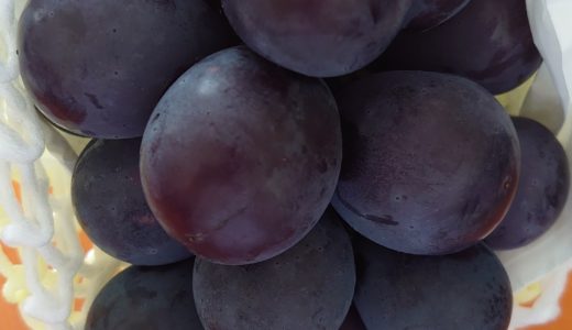 東京デパ地下 渋谷西武地下1階 フルーツ＆ヴィノスやまざき