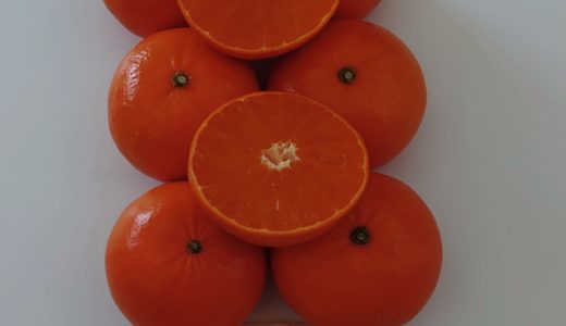 渋谷西武 髙匠 食パン、 いちごさん、はまさき