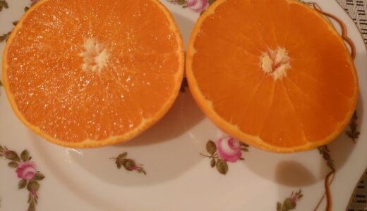 日本橋高島屋本館地下1階@フルーツショップオザキ@FAUCHONカフェランチ