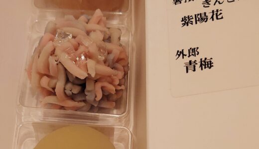 銀座松屋★一幸庵、季節の生菓子＠果匠正庵、あんず大福