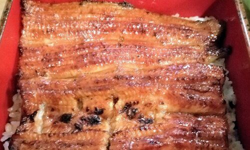 創業天保6年創業　江戸川橋＠ ミシュランうなぎはし本