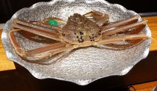 天橋立 星音 宿泊記 2024